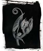 Alt Passiflora_06