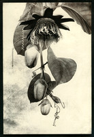 Alt Passiflora_04